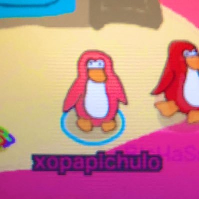 xoxopapichulo's profile picture. i hate twitter.
