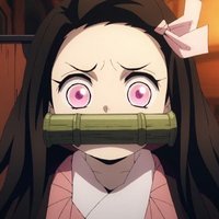 ねずこ好きフォロバ100%目指せ友達1000人! (@nezuuko2021) 's Twitter Profile
