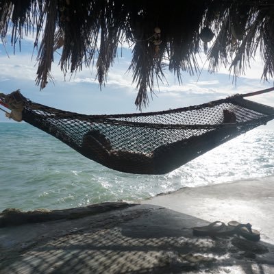 ihaterealmilk's profile picture. Milk was a bad choice.