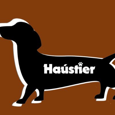 Haústier México se dedica a ser intermediario comercial entre grandes productores de artículos para mascotas, alimentos, ropa, entre otros y los clientes que b