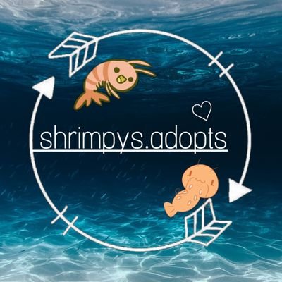 shrimpys.adoptsさんのプロフィール画像