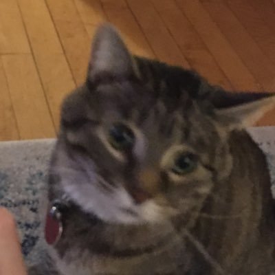 Smutty_Purple's profile picture. Not for the faint of jojo |27| they/them 🔞