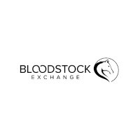 Bloodstock Exchange (@bloodstockex) 's Twitter Profile Photo