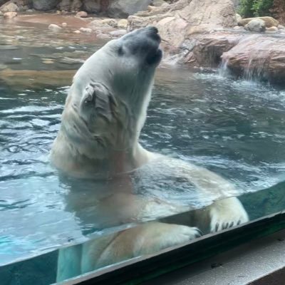 OmochiOmanju's profile picture. 趣味のアカウントです🐣