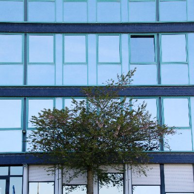 Bienvenue sur le compte Twitter du Lycée polyvalent de l'Authie de Doullens.
Facebook : https://t.co/9GARxLbP3S