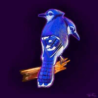BLUEJPINKさんのプロフィール画像