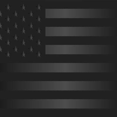 @american_rev2