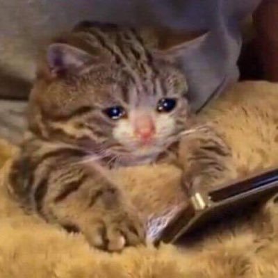 taylorbot666's profile picture. Hi let’s be friends. this is my music Twitter I’m not actually a bot lmao