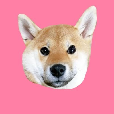 🌼🌷柴犬ハルちゃん🌷🌼さんのプロフィール画像