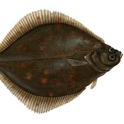 42Kati42's profile picture. 