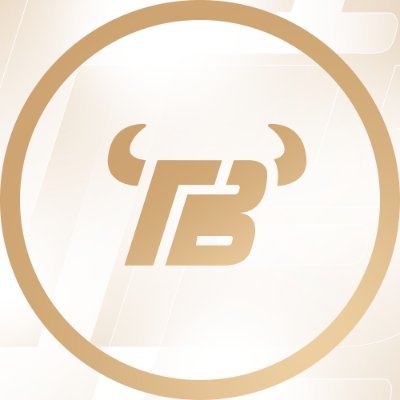 Team Bravus Profile
