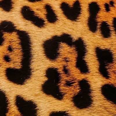 trejoluna's profile picture. México city