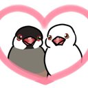 Lily bird - @Lilybird_twitte - Twitter