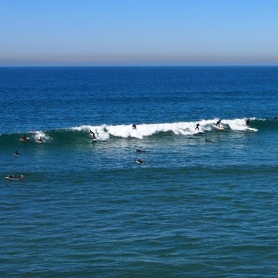 World Surfboard Trader
SBN WEBSHOP
サーフボードプロショップ
サーフボードネット|SURFBOARD NET
オンラインストアオープンしました。
#サーフボード #サーフィン #surfboard #surfing #world