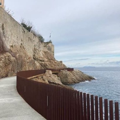 AldilondaB's profile picture. Compte officiel de l'Aldilonda née le 16/02/2019, baptisée le 23/12/2020