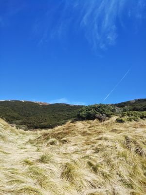 hiohio25's profile picture. バックエンドエンジニア
PHP/Laravel
わからないことだらけ