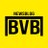 bvbnewsblog