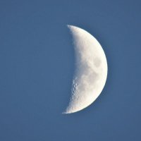 QI_project (@qiproject1) 's Twitter Profile