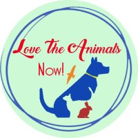 Love The Animals Now(@lovetheanimalsN) 's Twitter Profile Photo