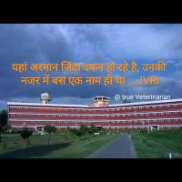 All India Veterinary Fraternity (@fraternityall) 's Twitter Profile