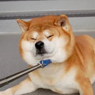 VaderPepe's profile picture. ...