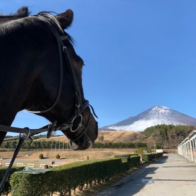 東京大学運動会馬術部の公式Twitterです。試合結果から可愛い馬🐴の写真まで幅広く発信していきます。新歓情報はこちらより発信中🙌→@umatodai2024
 #春から東大