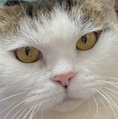 _96svt's profile picture. just let me rot alone if I'm not gonna marry someone like Lee Seokmin