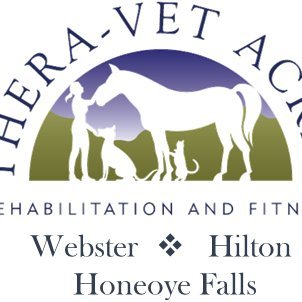 Providing Veterinary Rehabilitation, Sports Medicine, Acupuncture, and Veterinary Spinal Manipulative Therapy for the Greater Rochester, NY Area