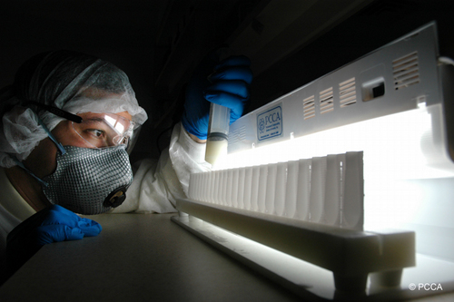 PartellPharmacy's profile picture. Partell Specialty Pharmacy is a USP-certified compounding pharmacy with 2 locations in Las Vegas, Nevada.