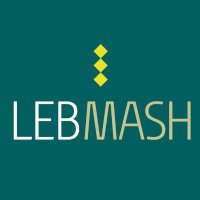 LebMASH(@LebMASH_) 's Twitter Profile Photo