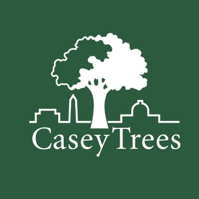 CaseyTrees Profile Picture