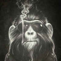 Captain Levi (@furryboss) 's Twitter Profile Photo