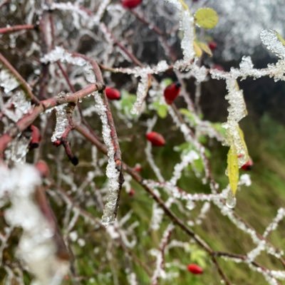 TomVinegar22's profile picture. 