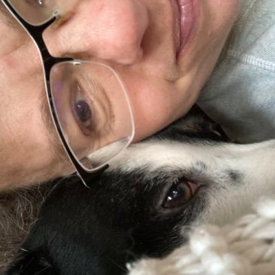 MistyMeredith9's profile picture. 