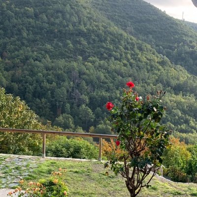 PascaleBattesti's profile picture. 