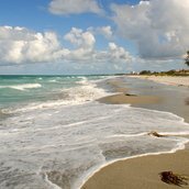 Mother, Grandmother and Real Estate Broker.  Living the dream on the Gulf Coast of Florida where God paints a beautiful sunset every evening.