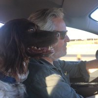Luis Sánchez-Moliní (@sanchezmolini) 's Twitter Profile
