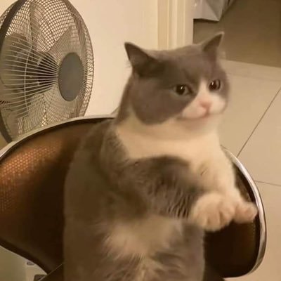 kagadahhh's profile picture. ppppp