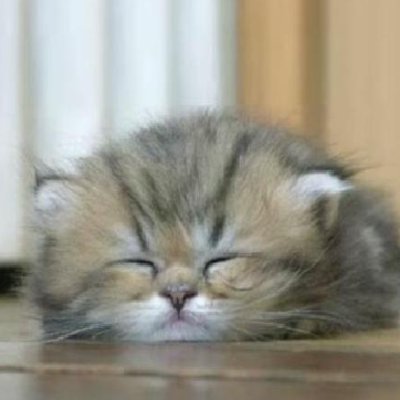 moss_0555's profile picture. プログラミングを学ぶたみ（2021/01/09～）
何から手をつけていいのかさっぱりなので、助言リプ、見守ってくださるフォロー、一緒に頑張ろう民、大歓迎です！！！
ゲームも好きだよ。FF14/ﾏｲｸﾗ/原神/他PCｹﾞ諸々