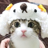 mo STONE🐦⬛🐲 🟧$MON♣️🐻⛓️🛸.fuel - Merlin🔮🧙 (@mo1cibo) 's Twitter Profile