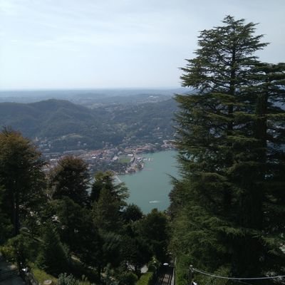 PurpleLady11051's profile picture. 