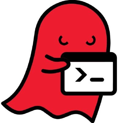 0xcarpetman's profile picture. I hack things