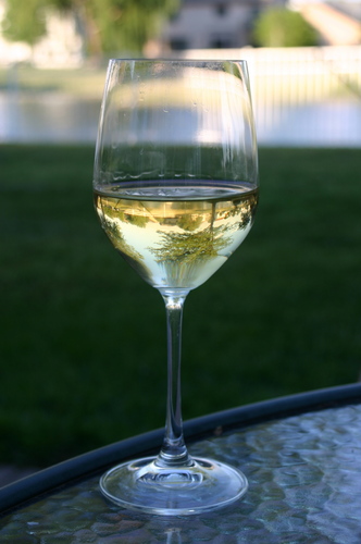 jackiebarky's profile picture. 