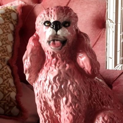 MMills5un's profile picture. Working in social media, surviving on Diet Coke and schadenfreude.