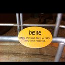 Bella Barr - @Xanthippe22 - Twitter