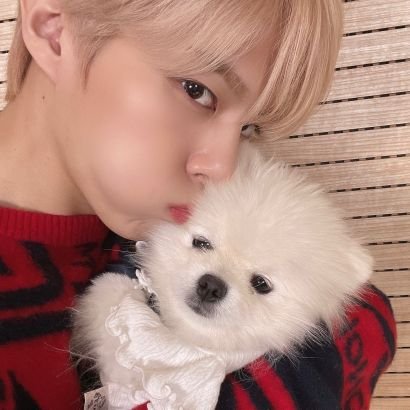 ethereal_blue11's profile picture. - ᴋᴡꜱ ♫ - #김우석 #엑스원 ꕤ "내일은 조금 더 사랑." by 김우석