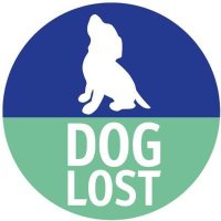 DogLost Norfolk Suffolk & Cambridgeshire (@doglostnsc) 's Twitter Profile