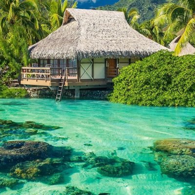 HaithamTiaa's profile picture. كل متوقع ات