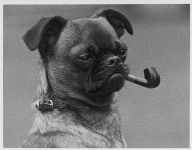 petebealskee's profile picture. you what