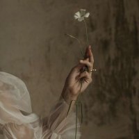 🌼 (@_sizediyorum_) Twitter profile photo